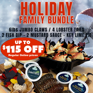 HOLIDAY FAMILY BUNDLE