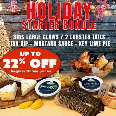 HOLIDAY STARTER BUNDLES