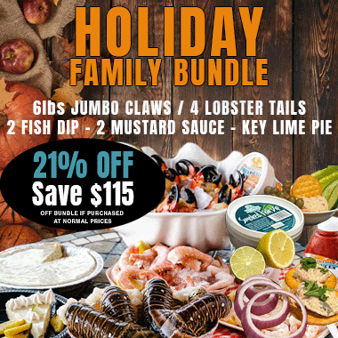 HOLIDAY FAMILY BUNDLE