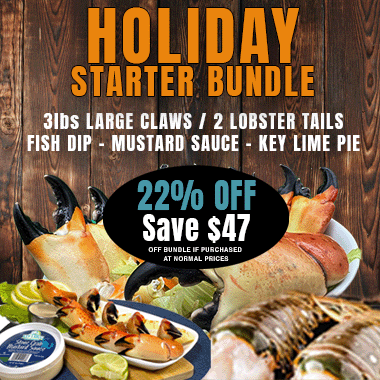 HOLIDAY STARTER BUNDLES