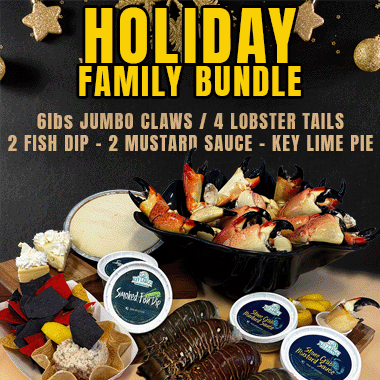 HOLIDAY FAMILY BUNDLE