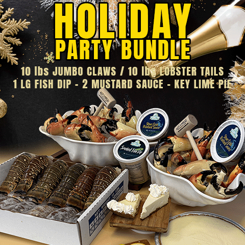 HOLIDAY PARTY BUNDLE