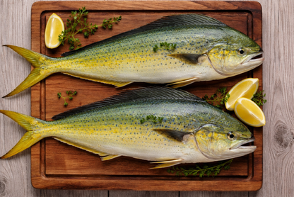 Mahi Mahi Fillet - Fresh