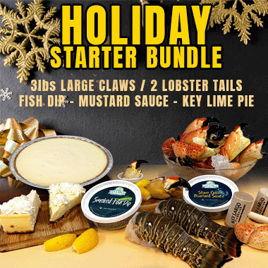 HOLIDAY STARTER BUNDLES
