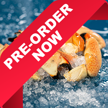 Large Stone Crab Claws