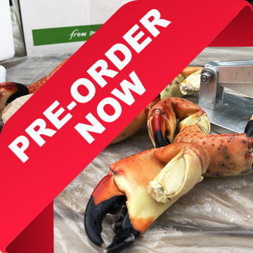 Jumbo Stone Crab Claws
