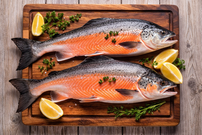 Salmon Fillet - Fresh