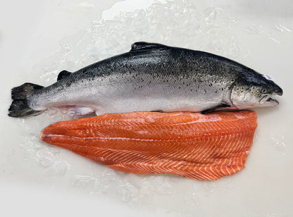 Salmon Fillet - Fresh
