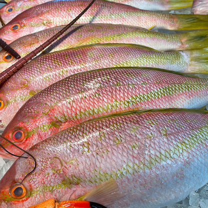 Freshly Frozen Yellowtail Snapper