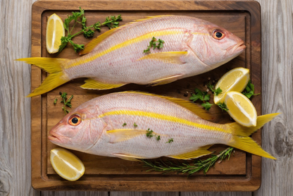 Yellowtail Snapper Fillet - Fresh