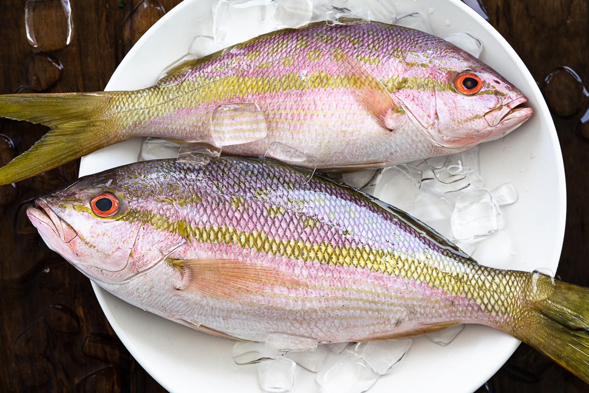 Whole Yellowtail 1 – 1.5 lb - Fresh