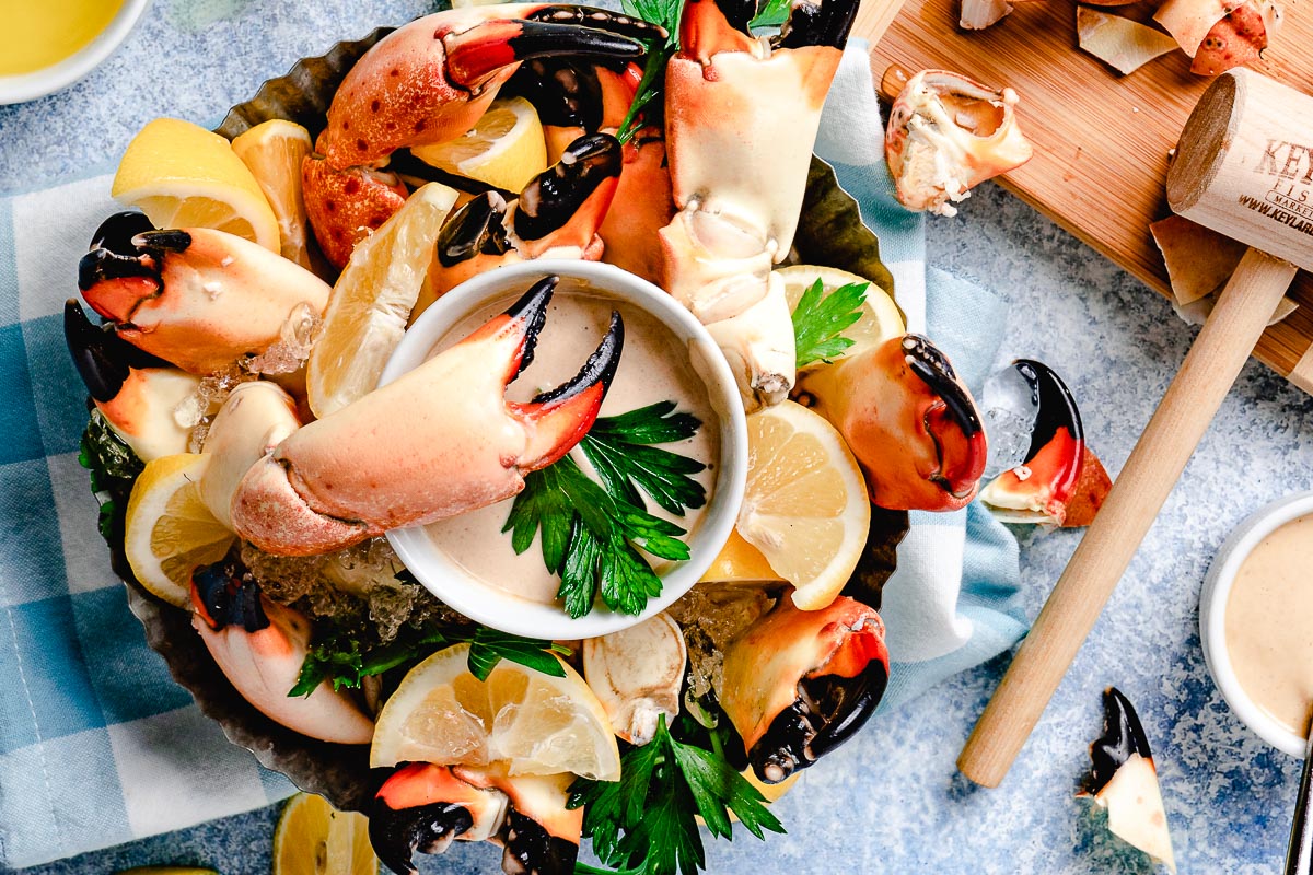 Dimensions Of A Stone Crab Red King Crab Species Profile, Alaska